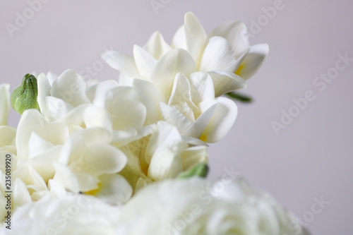 soft focus on a detail of wedding bouquet with white fresia