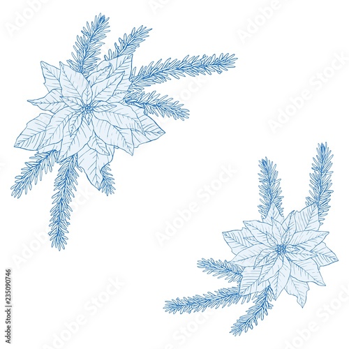Set of Christmas bouquets made of fir, poinsettia and leaves in blue color.