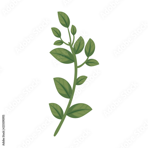 branch with leafs icon