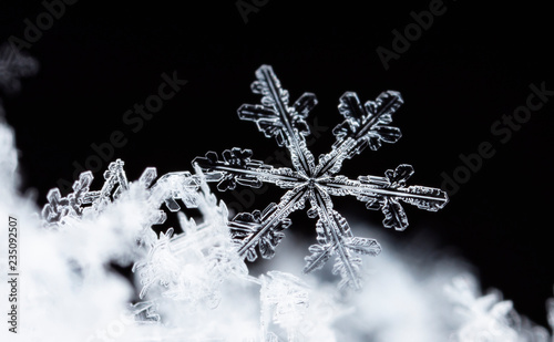 natural snowflakes on snow, winter