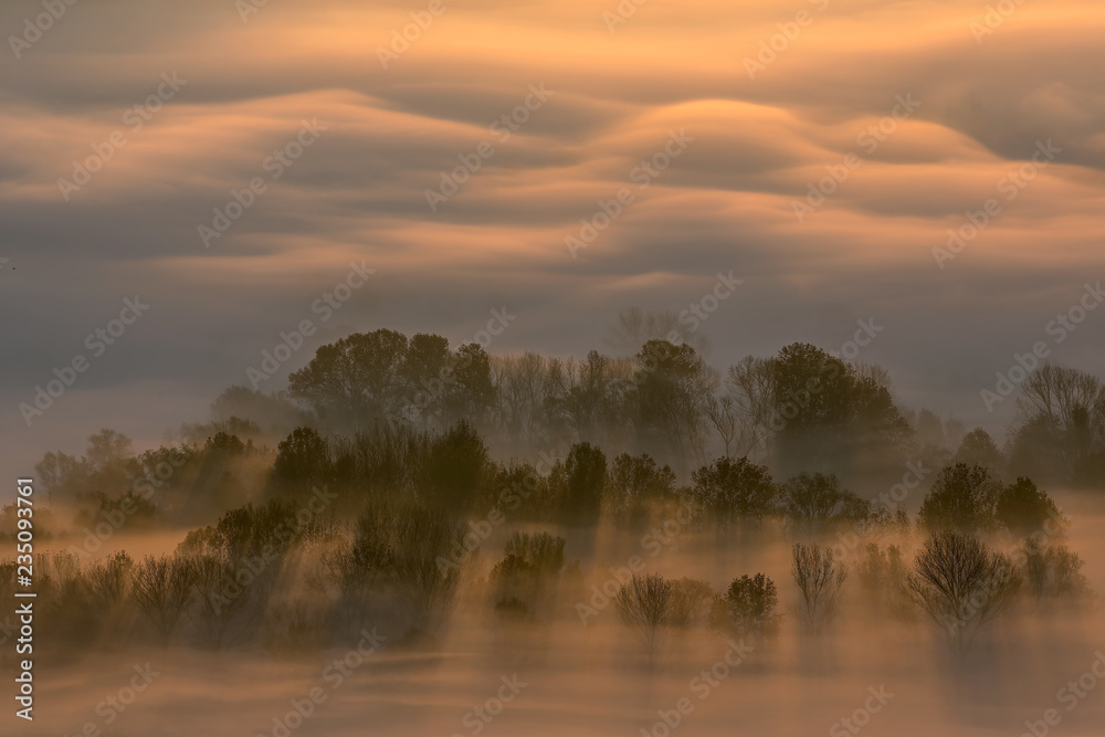 Alba sulla foresta con nebbia, Lombardia, Italia