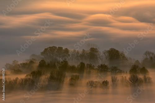 Alba sulla foresta con nebbia, Lombardia, Italia © manuel