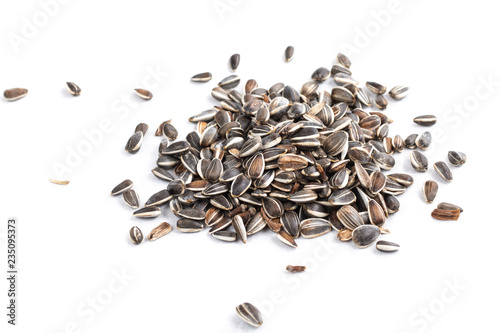 sunflower seed in heap on white background