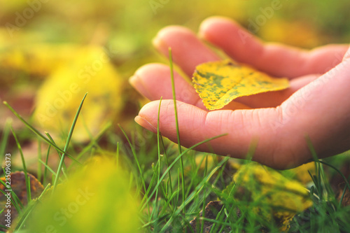 Take a leaf from the ground
