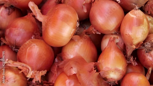 onion harvest for sale