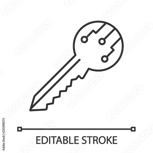 Private digital key linear icon