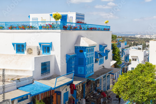 sidi bou said