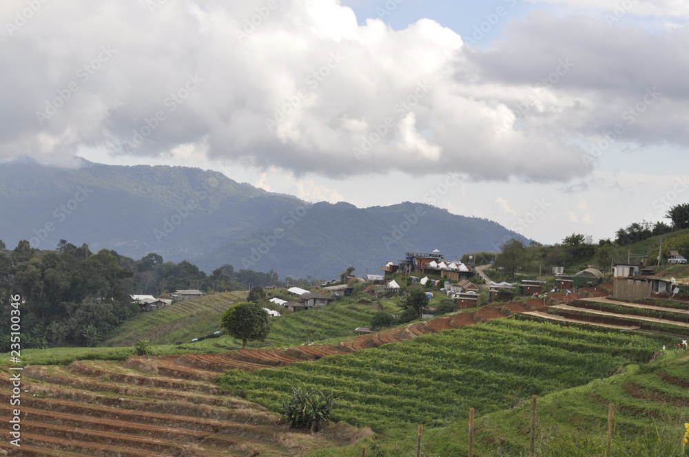 Fototapeta premium vineyard in france