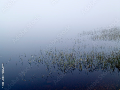 foggy lakeshore in Sotkamo Finland
