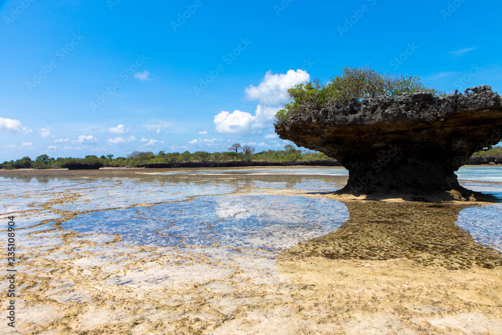 Fototapeta premium Felsformation bei Ebbe, Chale Island, Kenia
