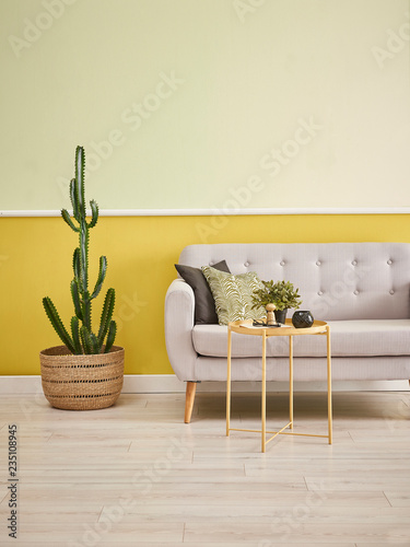 Green yellow wall background, wicker vase of cactus, green sofa and yellow coffee table style.