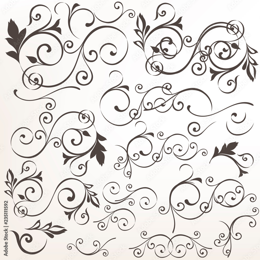 Set of vector calligraphic flourishes for design