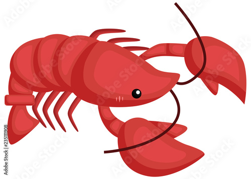 a vector of a cute and adorable lobster