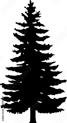 The contour of the forest tree
