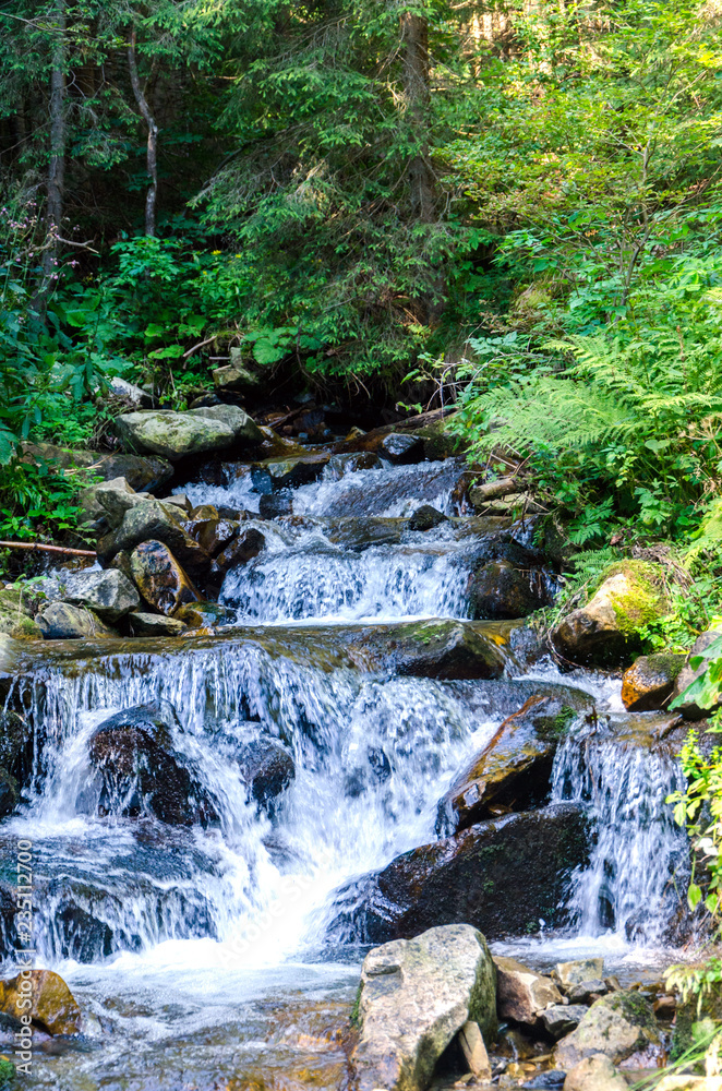 The waterfall in the Carpathian Mountains The waterfall in the Carpathian Mountains