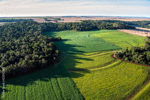 Soybean fields on atlantic rainforest