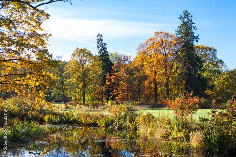 Fototapeta premium Gold autumn, yellow leafs, Petergof Alexandria park