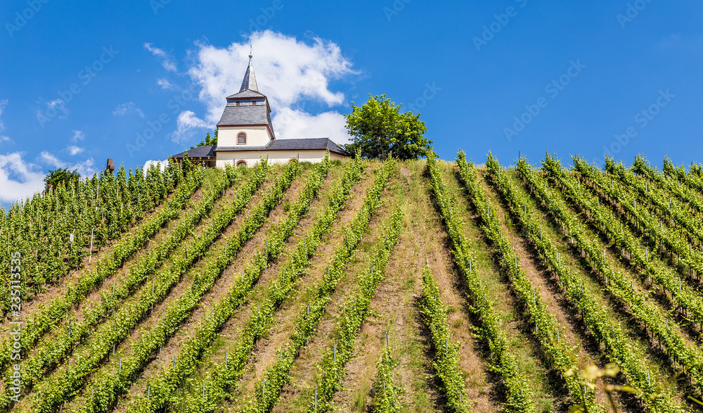 Laurentiuskapelle in Trittenheim an der Mosel Rheinland-Pfalz Deutschland