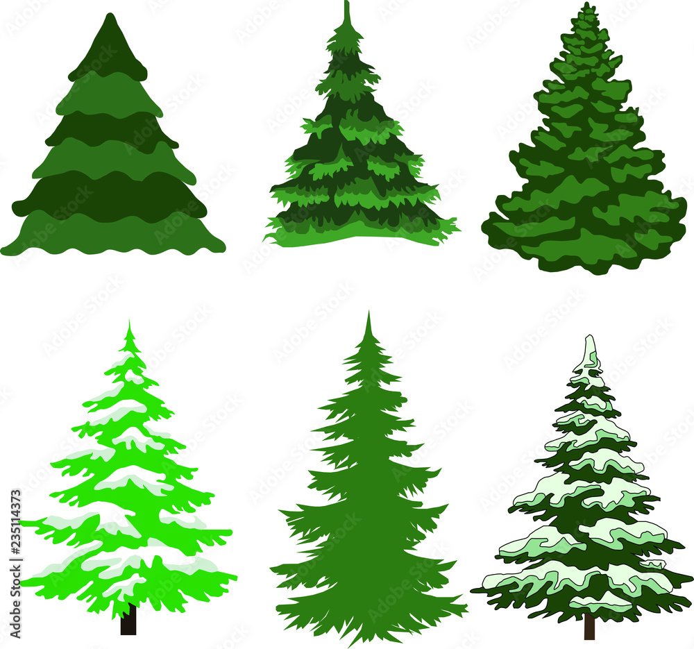 Green Christmas tree on a white background
Green Christmas tree on a white background
