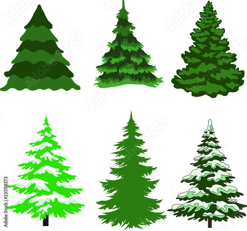 Green Christmas tree on a white background

