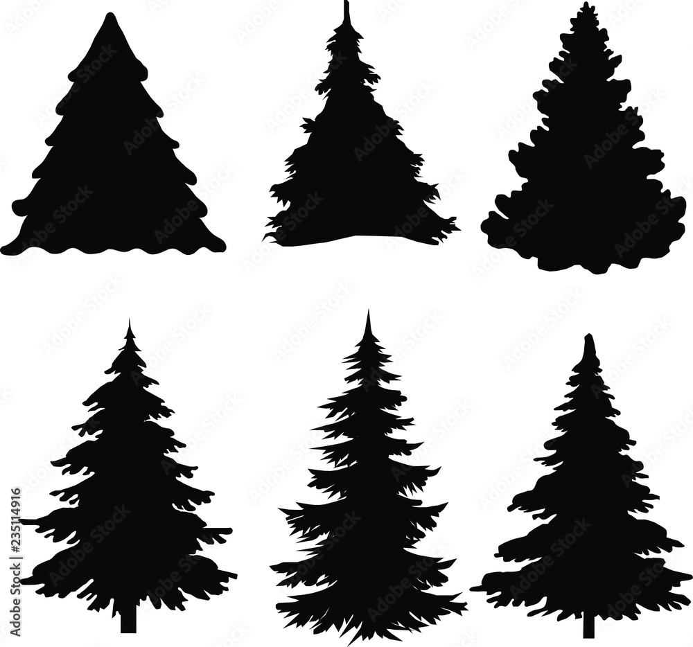 Shadow of green christmas trees on white background
Shadow of green christmas trees on white background