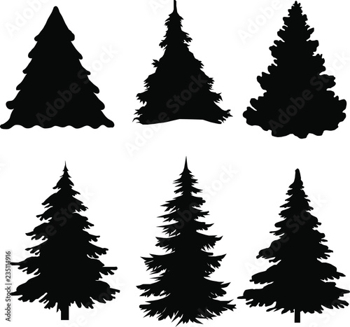 Shadow of green christmas trees on white background
