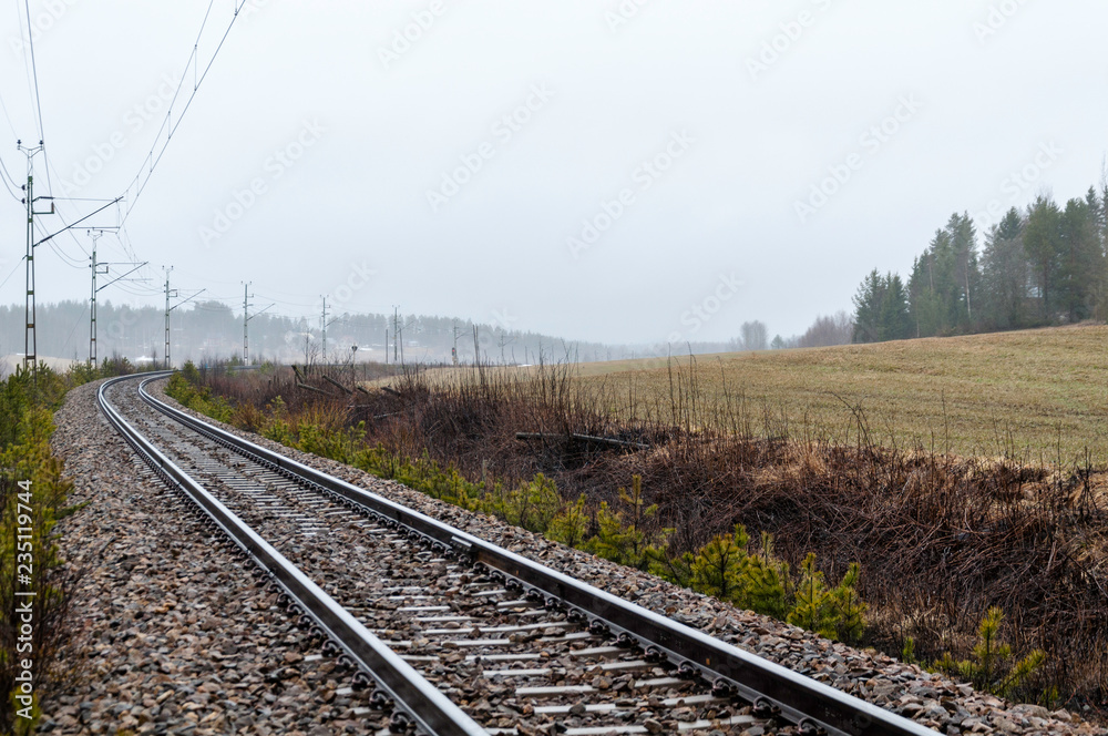 Grey sky and railway tracks in foggy autumn landscape, electrical wires, conifer seedlings and old wooden fence on the side