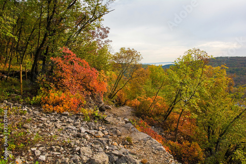 Autumn colours on display in the Carso karst limestone area of Friuli, near Doberdo in north east Italy. 