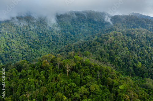 Aerial view of cloud hanging over dense, mountainous tropical jungle