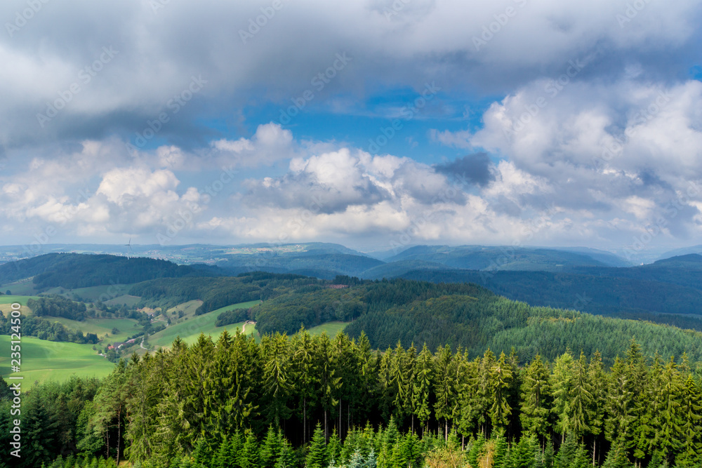 Germany, Endless view over fir tree tops of black forest mountains and valleys on huenersedel mountain