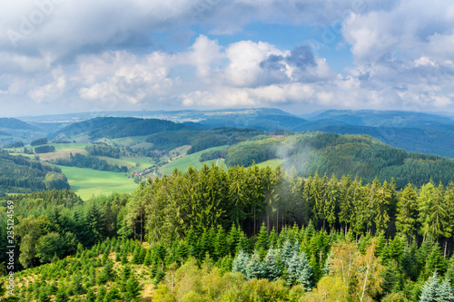 Germany, Little cloud over green shiny conifer trees in endless black forest nature