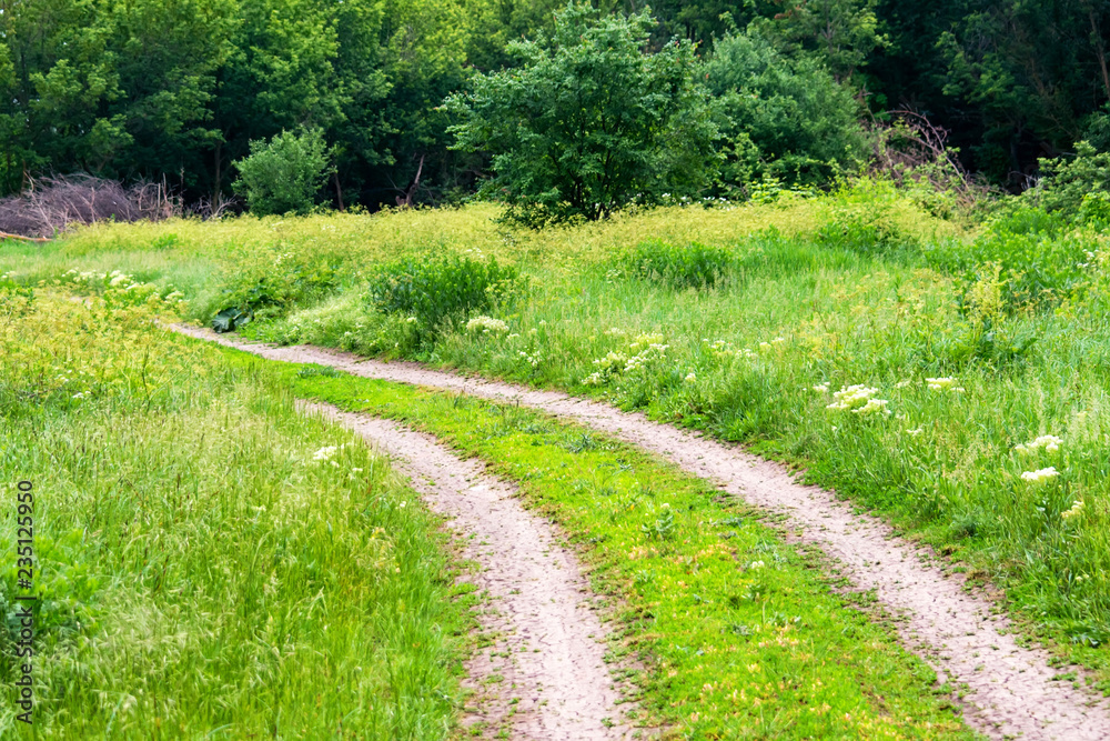 Path or road in summer countryside. Natural landscape Path or road in summer countryside. Natural landscape