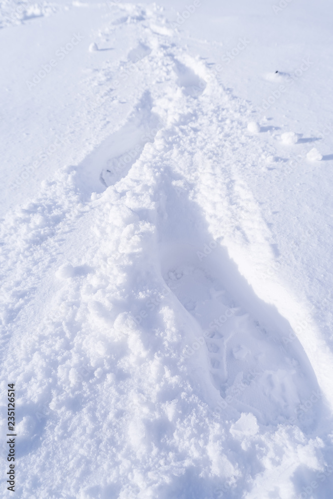 Footprint and hands on snow Footprint and hands on snow