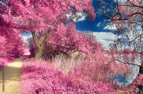 Canvas Print Infrared shots of beautiful landscapes