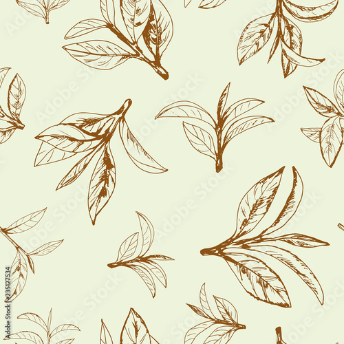 seamless pattern of tea, leaves and branches, hand-drawn