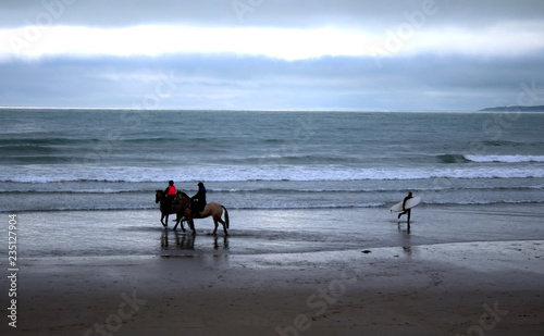 Horses and surfers sharing the beach