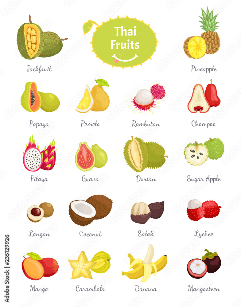 Naklejka Tajskie Owoce Zestaw Ilustracja Wektorowa Bujne Jedzenie