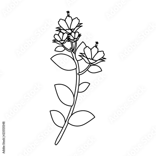 branch with flower and leafs