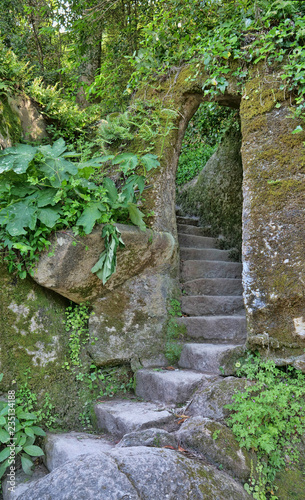 Forgotten rock pathway