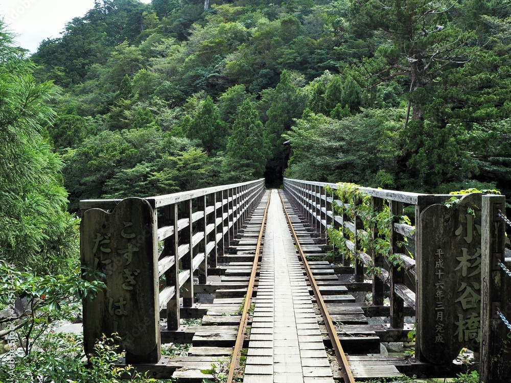 Fototapeta premium YAKUSHIMA