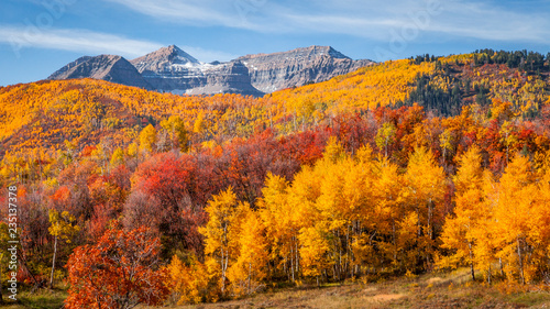 Canvas Print Couleurs Automnales sur le Mont Timpanogos