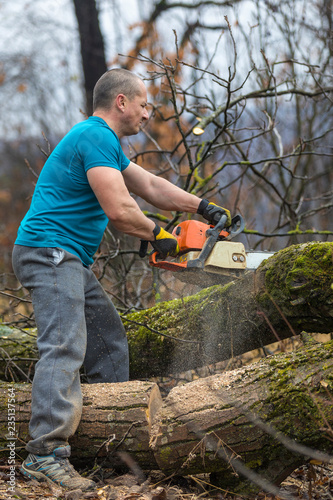 Forestry worker - lumberjack works with chainsaw. He cuts a big tree in forest.