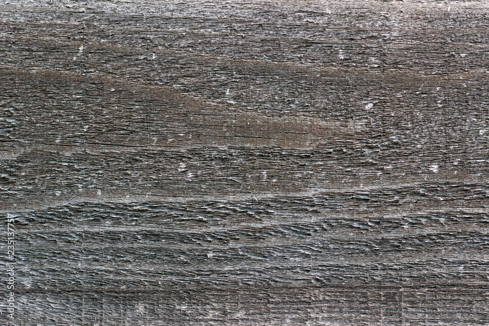 Wood texture pine grey gray rough plank close up Wood texture pine grey gray rough plank close up