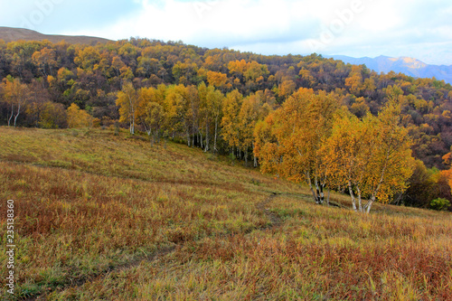 mountain natural scenery