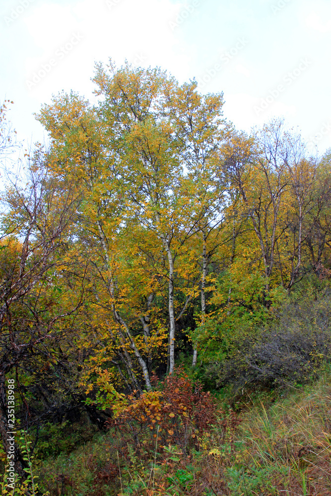 mountain natural scenery