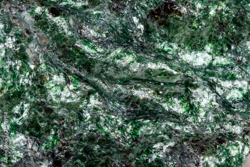 Macro mineral stone Fuchsite on a white background photo