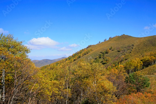 mountain natural scenery © junrong