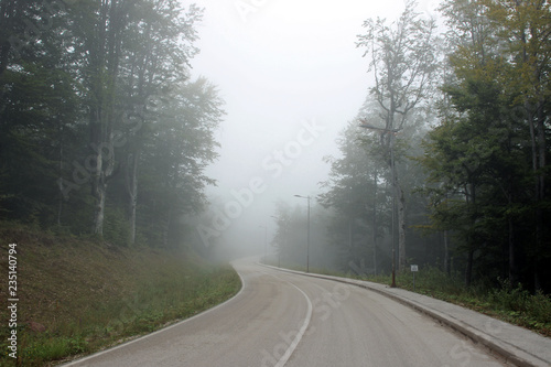 Road fog mist mountain forest park 
