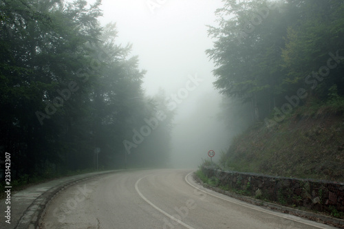 Road fog mist mountain forest park 