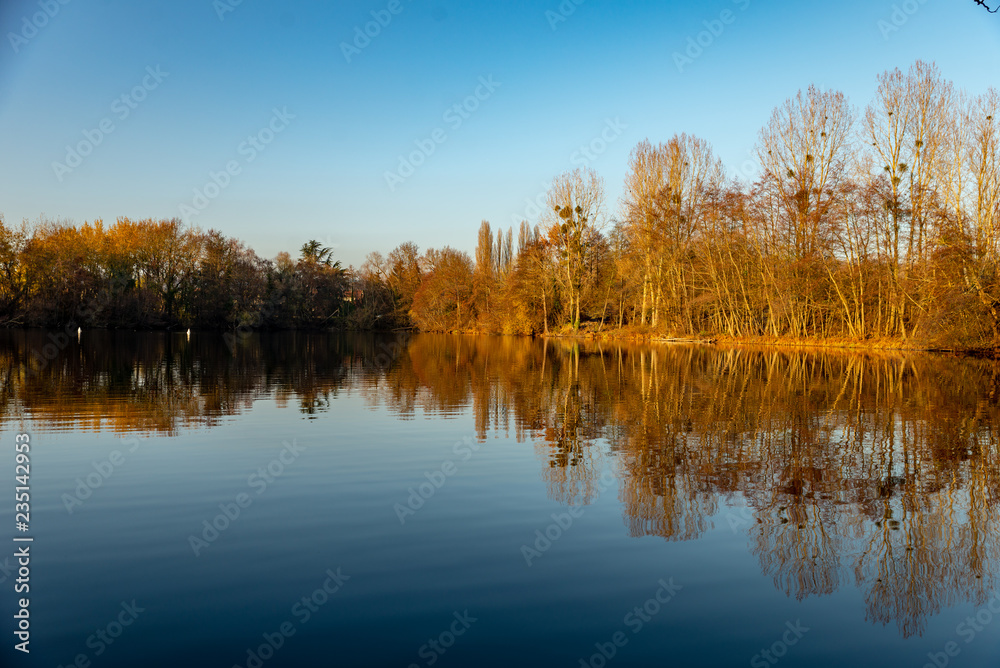 étang en automne avec les arbres se reflétant dans l'eau